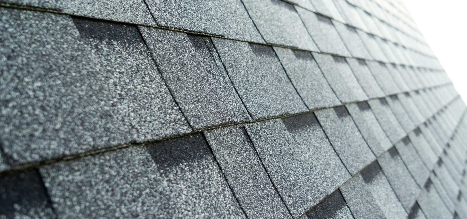 Tampa Bay Shingle roof Replacement